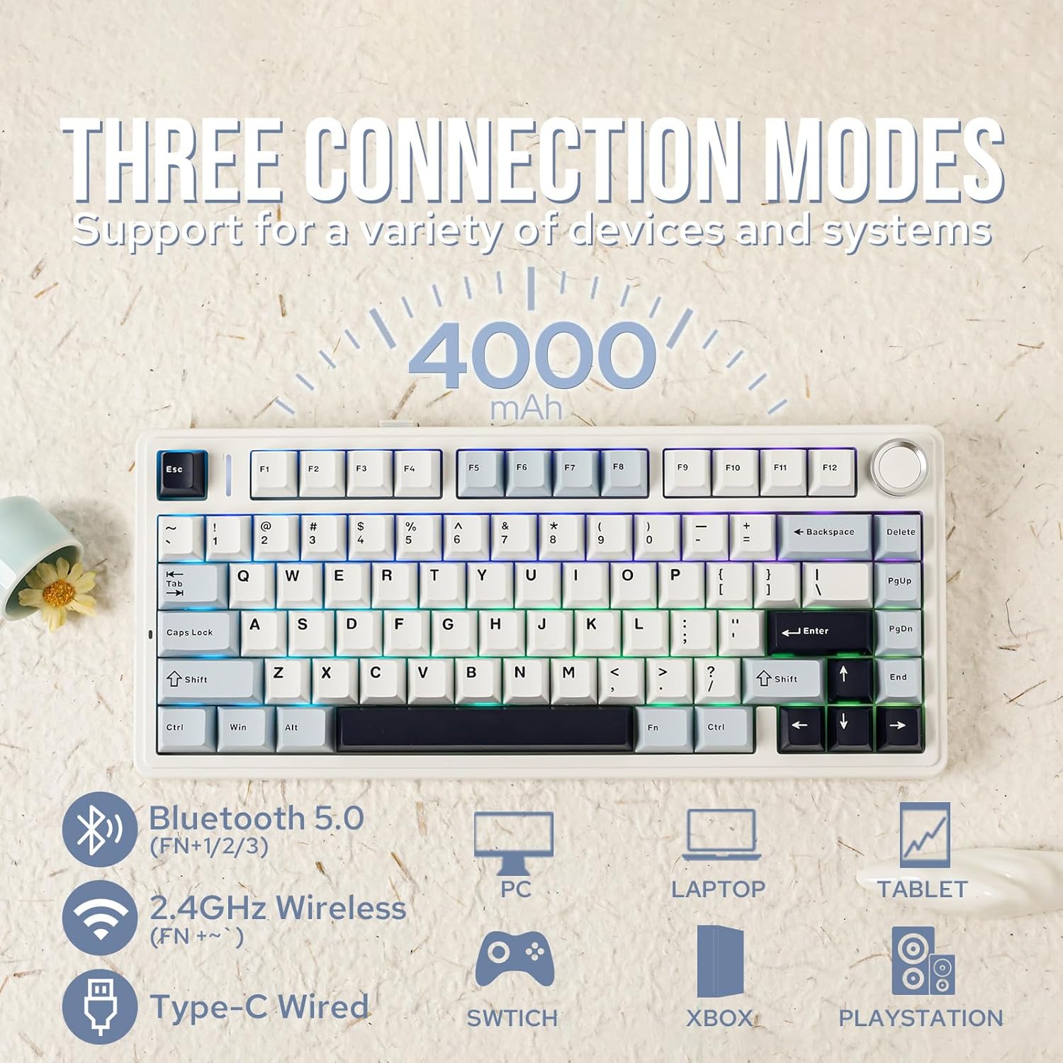 لوحة مفاتيح ميكانيكية Aula F75 - مراجعة Gaming Keyboard Blue Switches وسعره