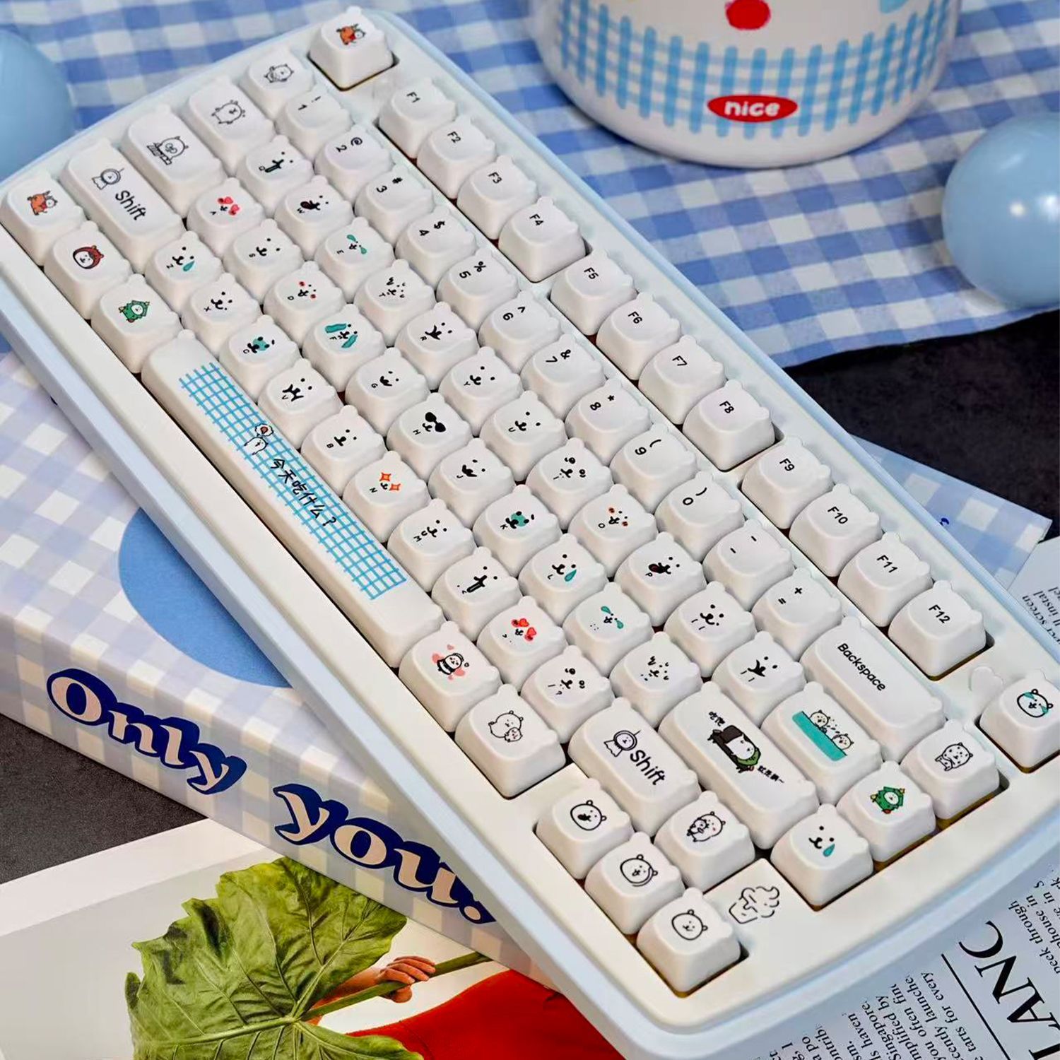 أغطية مفاتيح PBT بتصميم دب كرت - مراجعة Gaming Keyboard Ergo وسعره